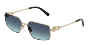 Tiffany & Co. 0TF3111 62029S