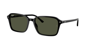 Ray-Ban 0RB2231 901/31