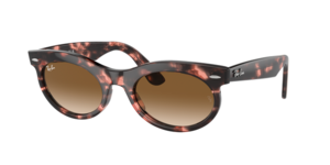 Ray-Ban 0RB2242 133451