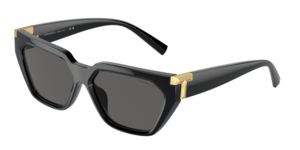Tiffany & Co. 0TF4205U 8001S4