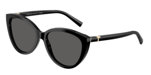 Tiffany & Co. 0TF4251 8001S4
