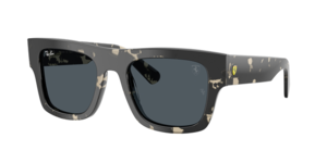 Ray-Ban 0RB2217M F70387