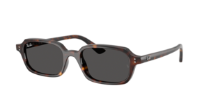 Ray-Ban 0RB4455 135987