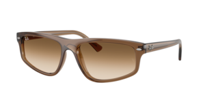 Ray-Ban 0RB2225 664051