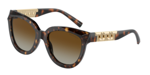 Tiffany & Co. 0TF4215 8015T5