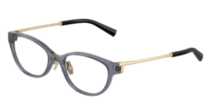 Tiffany & Co. 0TF2252D 8405