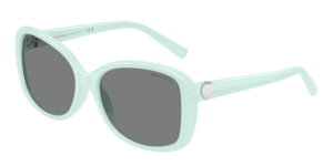 Tiffany & Co. 0TF4257U 845087