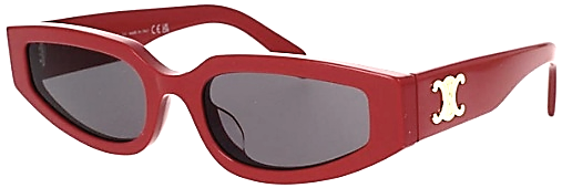 Celine CL40269U 66A 54*