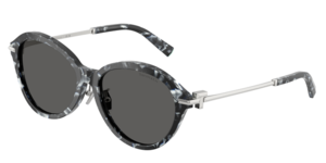 Tiffany & Co. 0TF4259F 8428S4