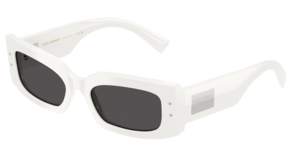 Dolce & Gabbana 0DG4479F 331287
