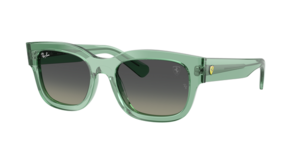 Ray-Ban 0RB2228M F70911