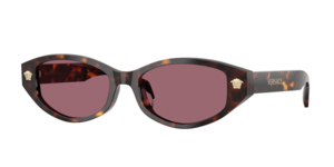 Versace 0VE4512D 108/1A