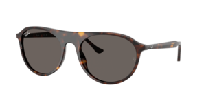 Ray-Ban 0RB2215 902/B1