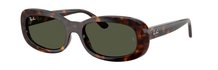 Ray-Ban 0RB2221 902/31