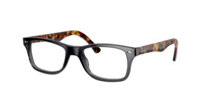 Ray-Ban 0RX5228 5629
