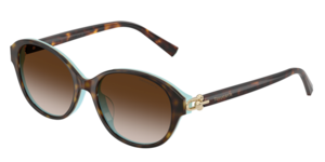 Tiffany & Co. 0TF4263D 81343B