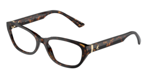 Jimmy Choo 0JC3015 5002