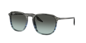Ray-Ban 0RB2203 1391GK
