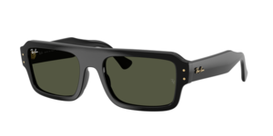 Ray-Ban 0RB4454 667731