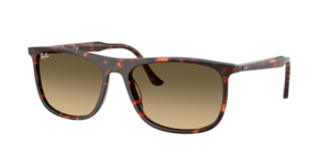 Ray-Ban 0RB2216 14290A