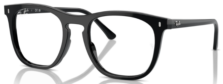 Ray-Ban 0RX2210V 2000