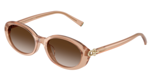 Tiffany & Co. 0TF4242D 82683B