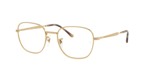 Ray-Ban 0RX6534 2500