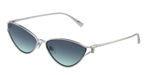 Tiffany & Co. 0TF3095 60019S