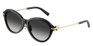 Tiffany & Co. 0TF4259F 80013C