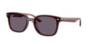 Ray-Ban 0RB4461D 659373
