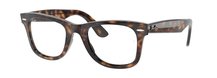 Ray-Ban 0RX4340V 2012