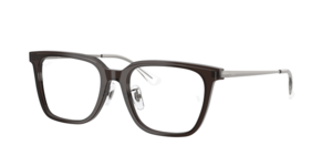 Ray-Ban 0RX5442D 8290