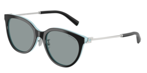 Tiffany & Co. 0TF4243D 8055/1