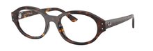 Ray-Ban 0RX7257 8320