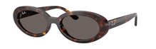 Ray-Ban 0RB2223 902/B1