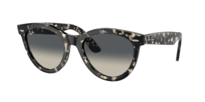 Ray-Ban 0RB2241 133371
