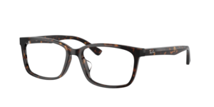 Ray-Ban 0RX5319D 2012