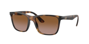 Ray-Ban 0RB4349I 674813