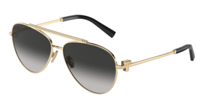 Tiffany & Co. 0TF3101B 60213C