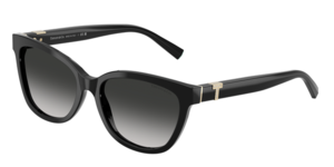 Tiffany & Co. 0TF4237B 80013C