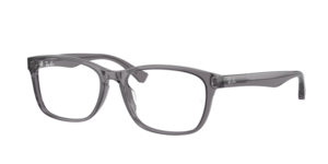 Ray-Ban 0RX5315D 8268