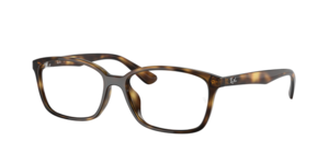 Ray-Ban 0RX7094D 2012