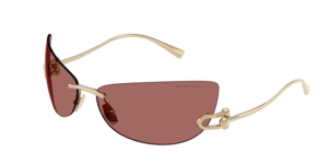 Tiffany & Co. 0TF3112K 622569