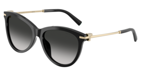 Tiffany & Co. 0TF4258BU 80013C