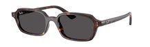Ray-Ban 0RB4455 135987