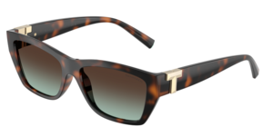 Tiffany & Co. 0TF4255U 80155D