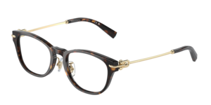 Tiffany & Co. 0TF2237D 8015