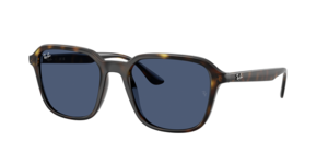Ray-Ban 0RB4465I 710/80
