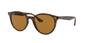 Ray-Ban 0RB4305 710/83