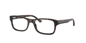 Ray-Ban 0RX5268 2012